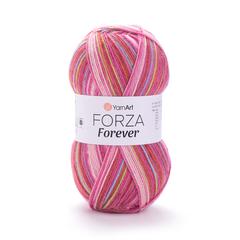 Forza Forever